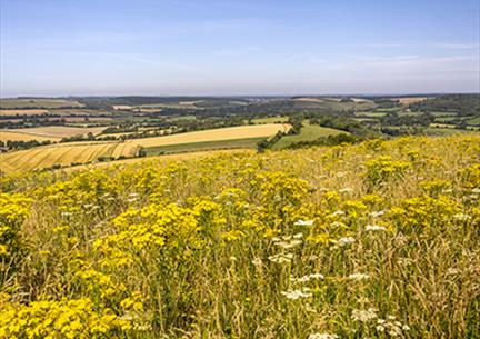 South Downs National Park