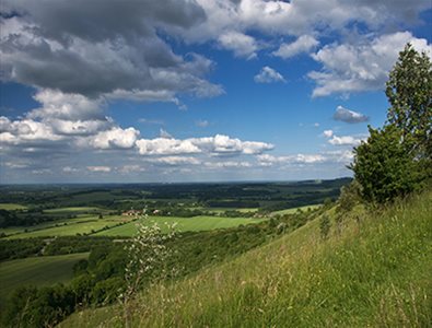 North Wessex Downs