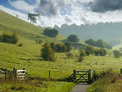 South Downs National Park