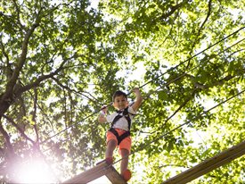 Go Ape at Alice Holt Forest