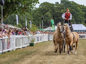 The New Forest and Hampshire County Show
