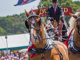 The New Forest and Hampshire County Show