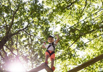 Go Ape at Alice Holt Forest