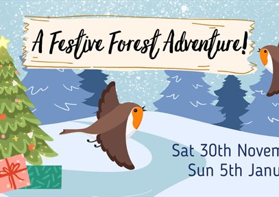 A Festive Forest Adventure! At Queen Elizabeth Country Park