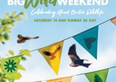 Big Wild Weekend at Hawk Conservancy Trust