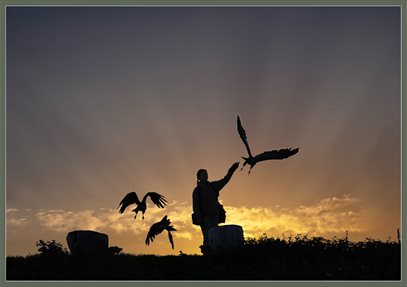 The Hawk Conservancy Trust