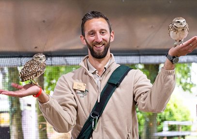 Owl's at the Hawk Conservancy Trust