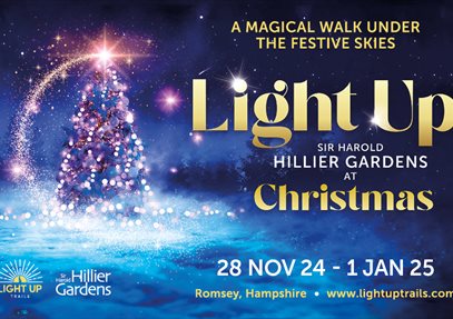 Light Up Sir Harold Hillier Gardens at Christmas