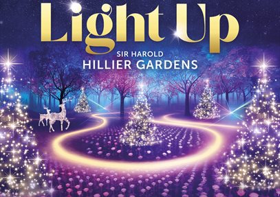 Light Up Sir Harold Hillier Gardens at Christmas