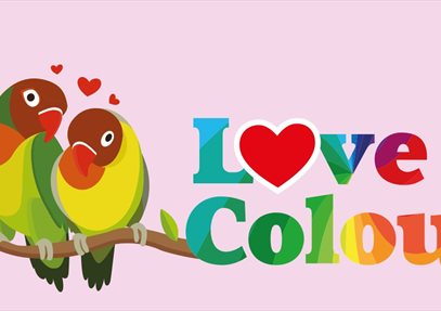 Love + Colour at Birdworld