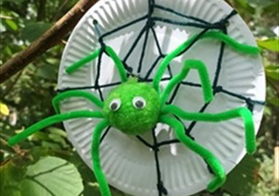 Spider craft in Web
