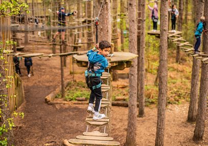 Go Ape at Moors Valley