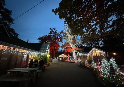 Winterfest at Sandy Balls Holiday Village