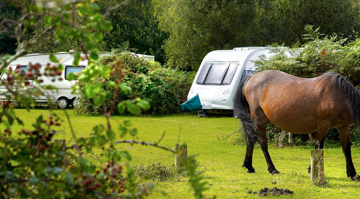 Camping And Campsites In Hampshire Visit Hampshire