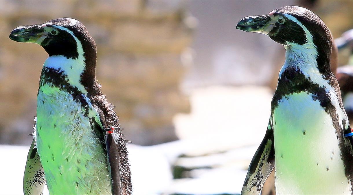 Things to do in Hampshire Official Tourism Site