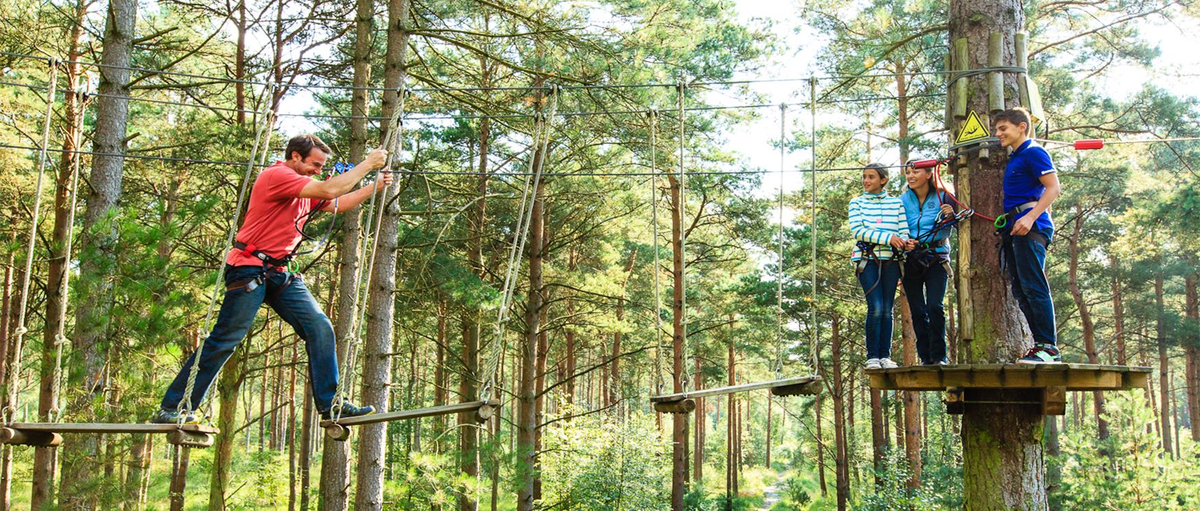 Go Ape Tree Top Adventure |