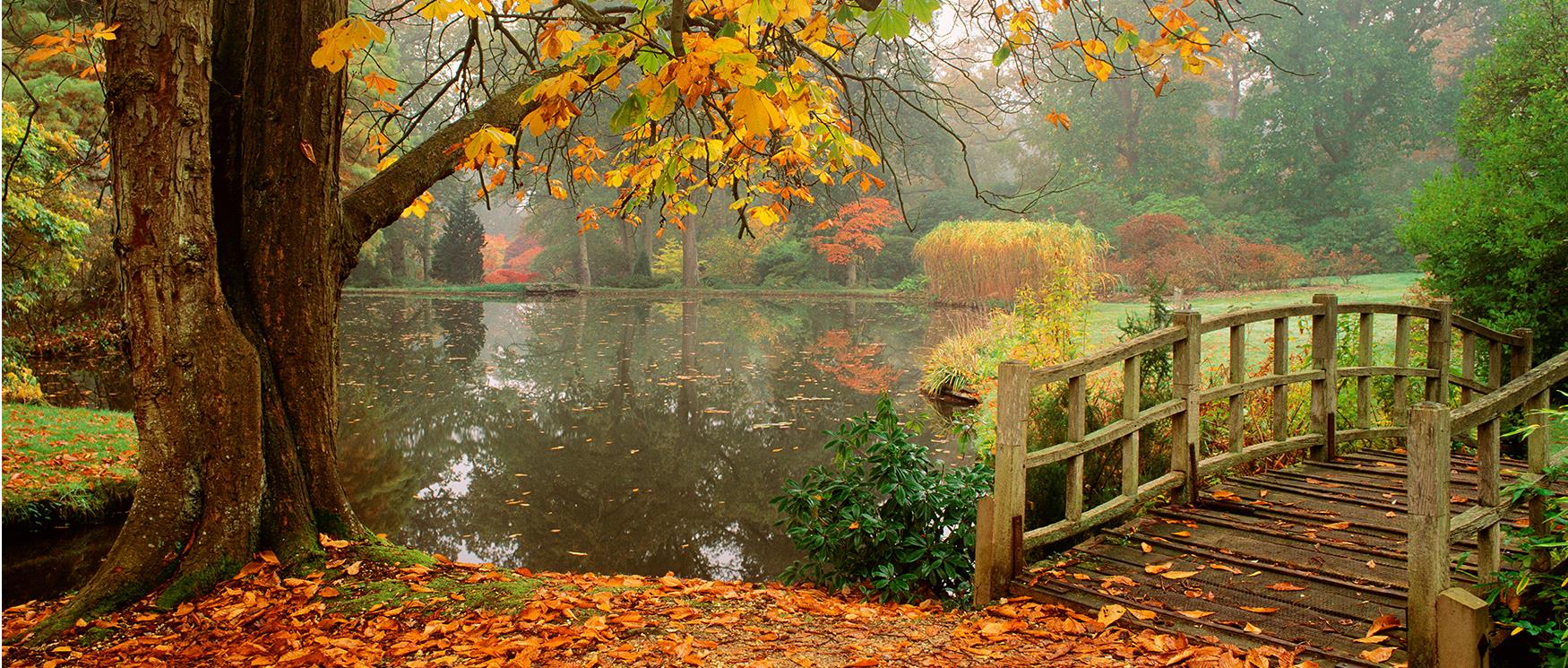 Autumn at Exbury Gardens