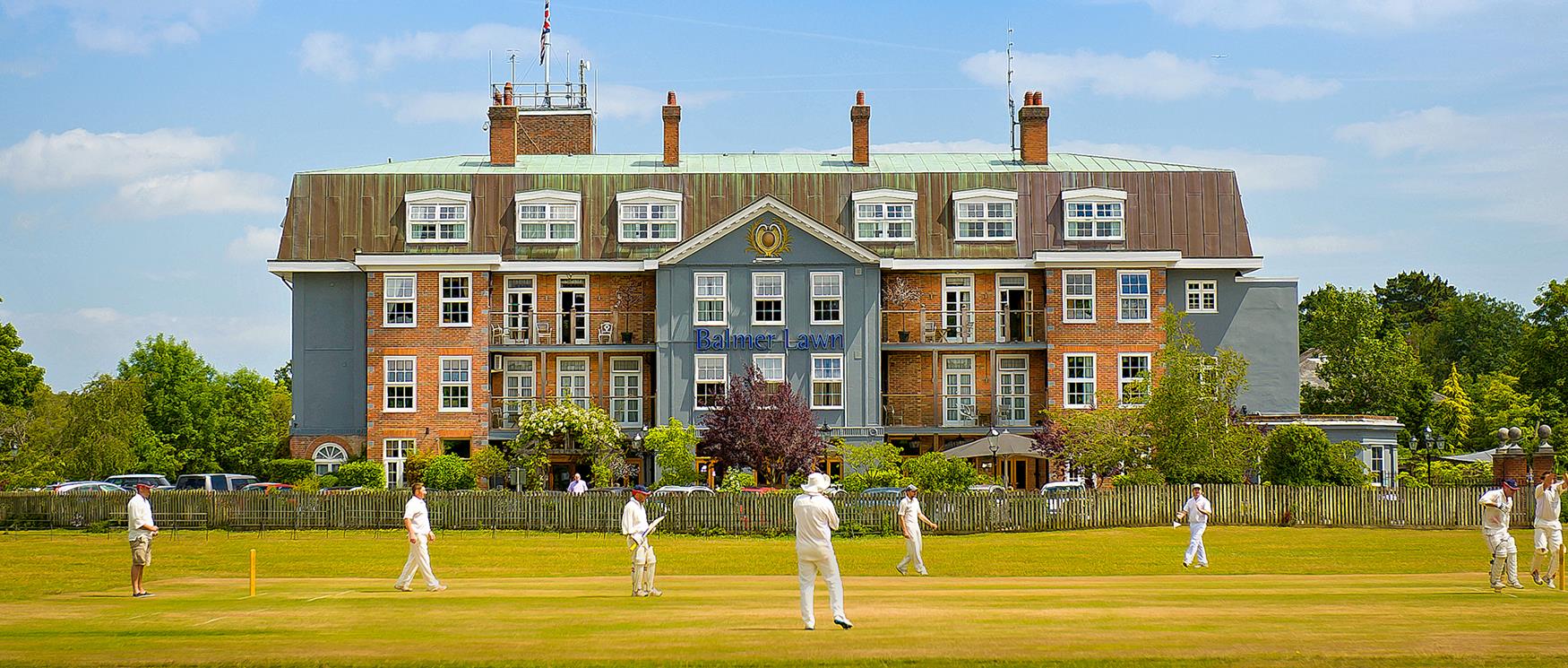 Balmer Lawn Cricket Pitch