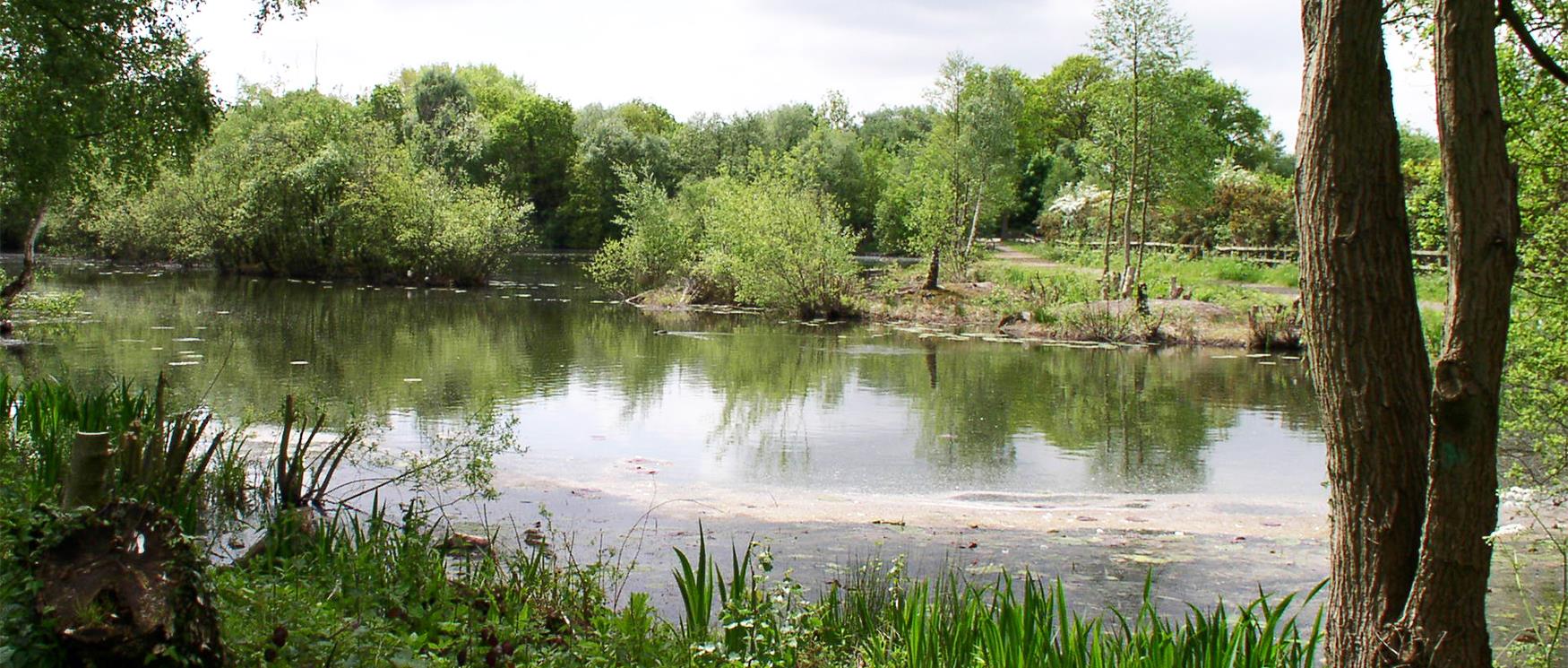 Blackwater Valley River