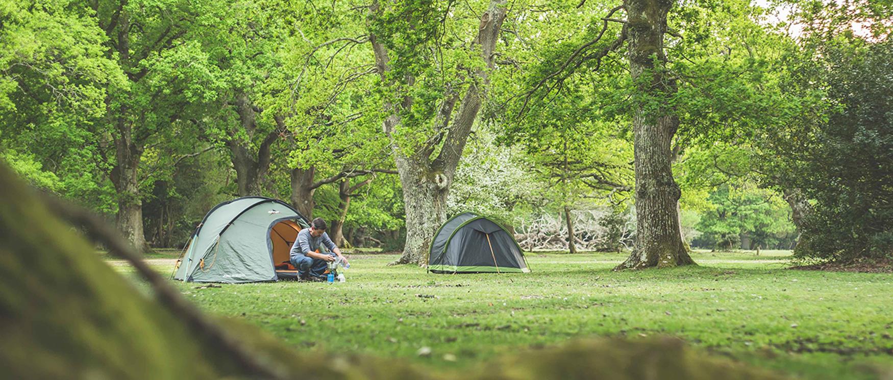 Camping in Hampshire