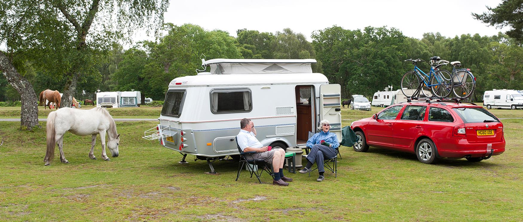 Campsites in Hampshire
