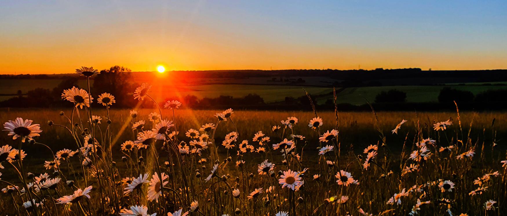 South Downs National Park