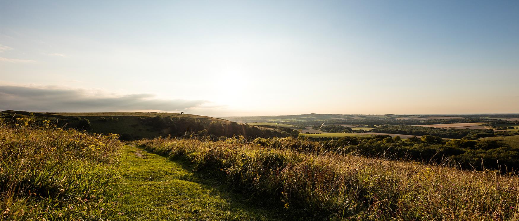 South Downs National Park