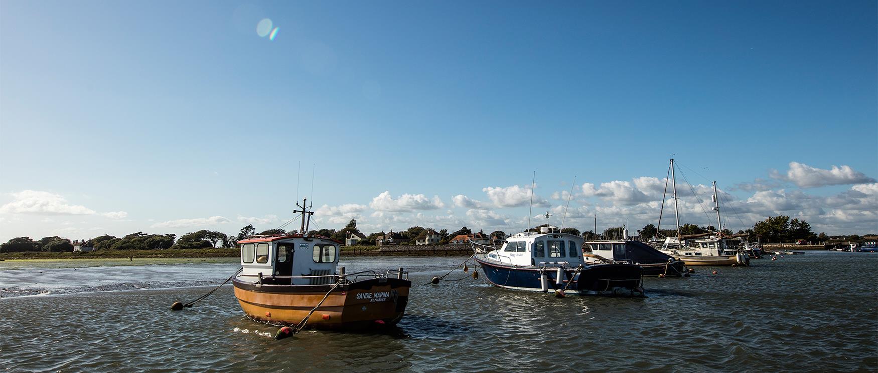 The New Forest Coastline