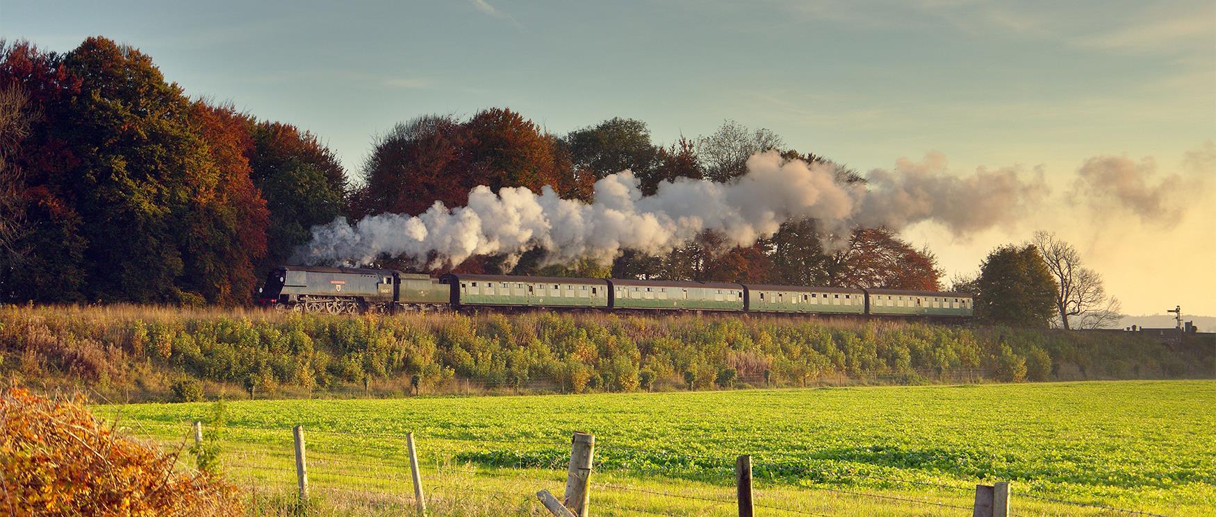 The Watercress Line, Alresford