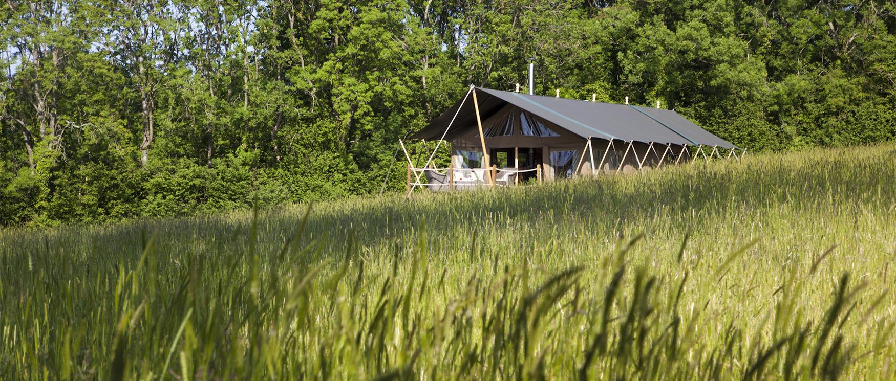 Glamping Sites in Hampshire