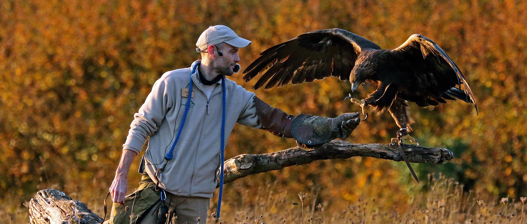 Hawk Conservancy Trust