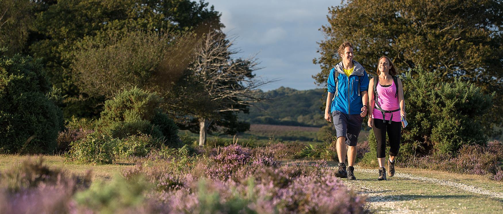 Walking in The New Forest