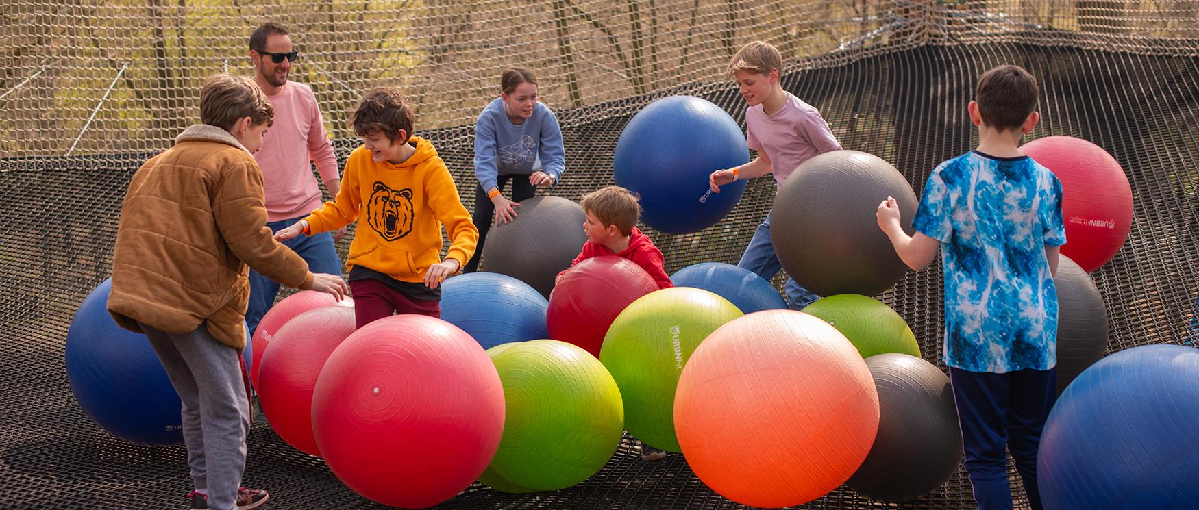 Nets adventure, Go Ape, Alice Holt Forest