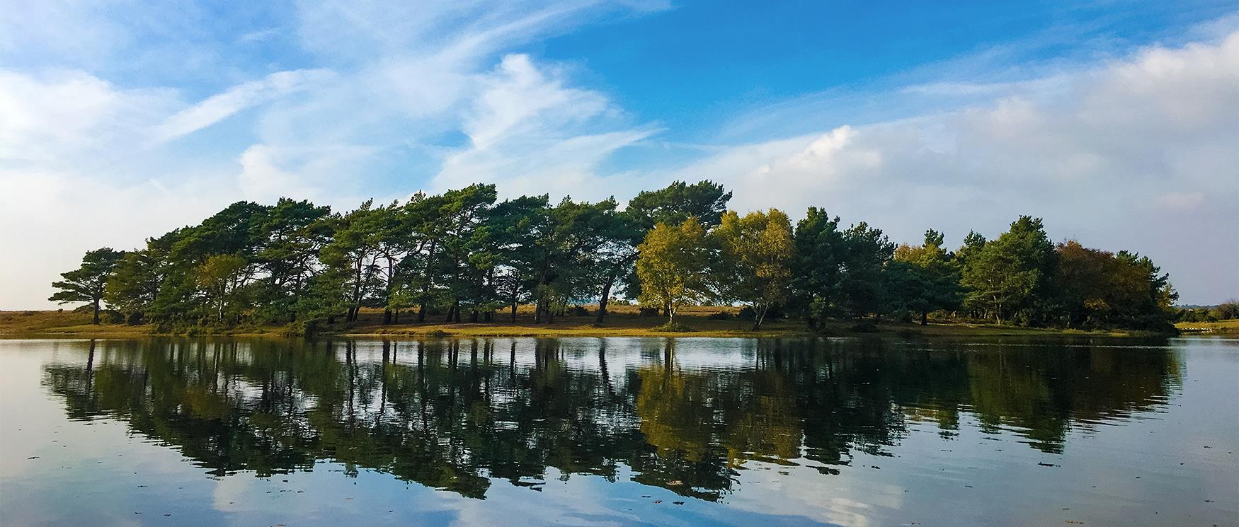 Hatchet Pond, New Forest