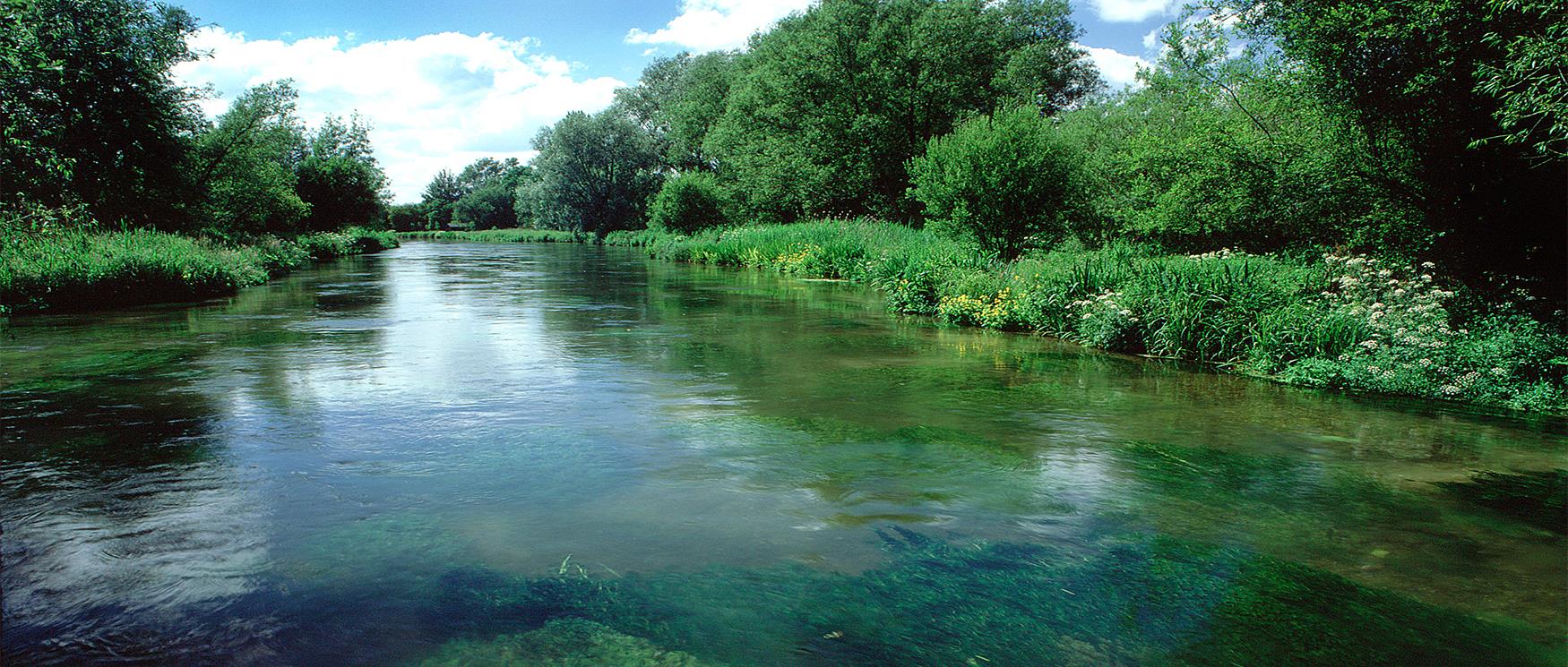 River Itchen