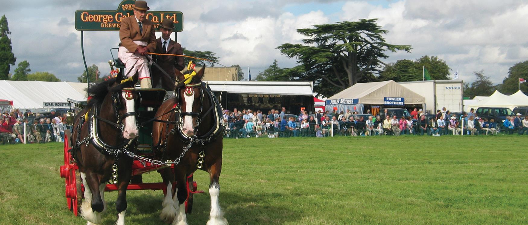 Romsey Show