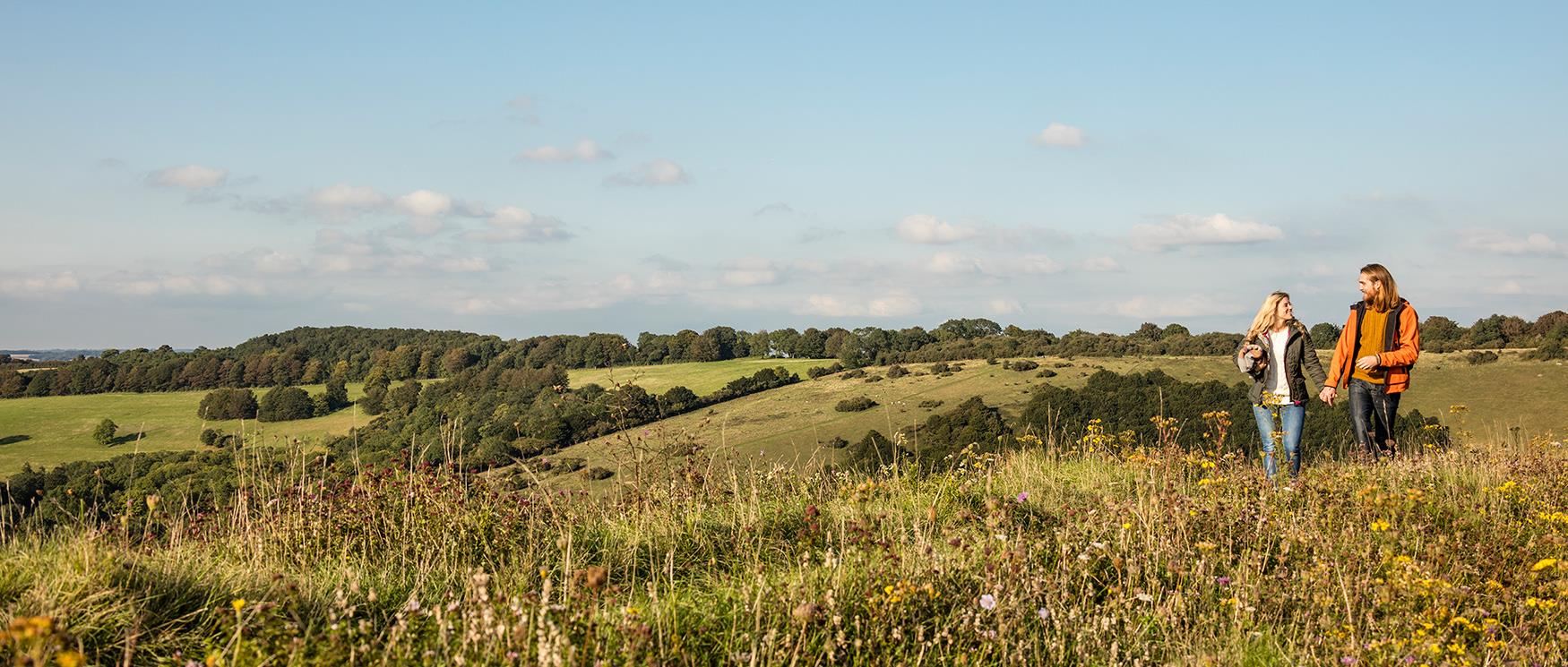 South Downs National Park in Hampshire 