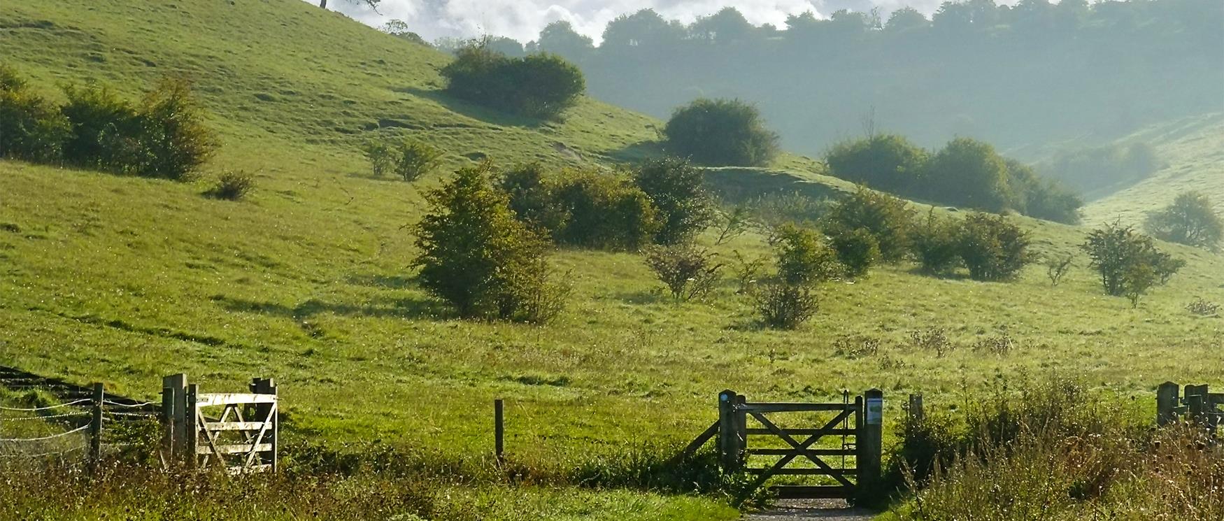 South Downs National Park