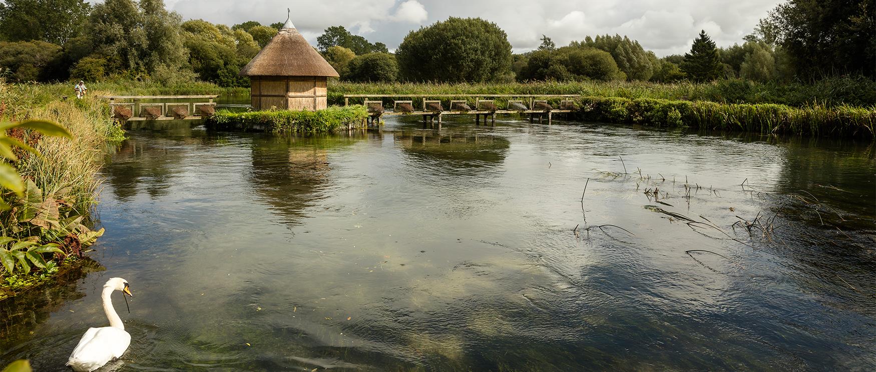 River Test, Longstock