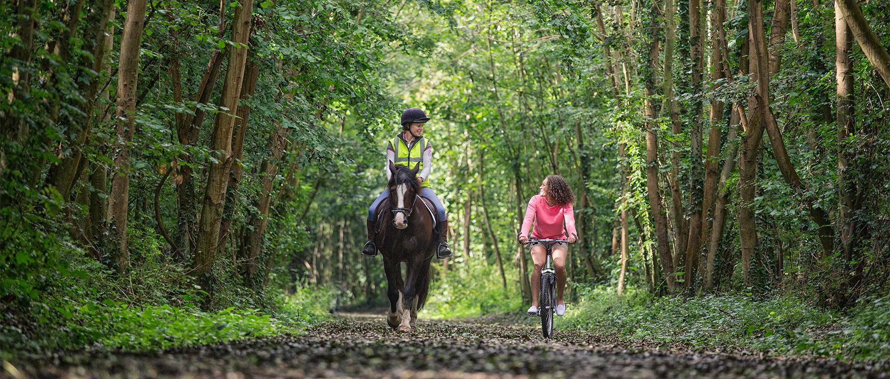 Horse Riding in Hampshire