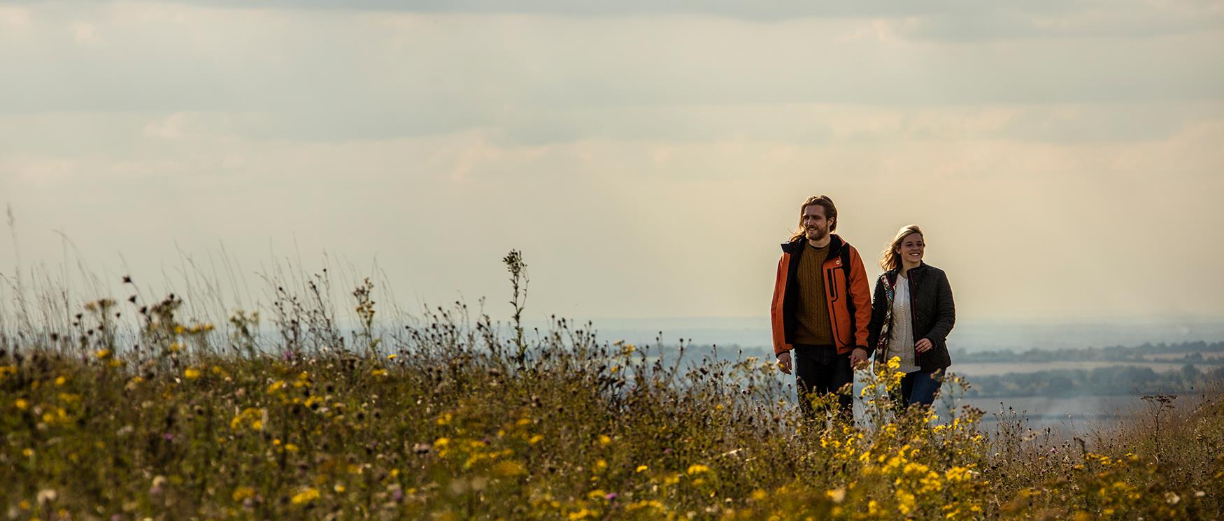 Walks in the South Downs National Park