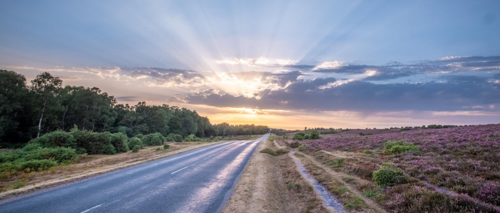 Open road in the New Forest, Hampshire.