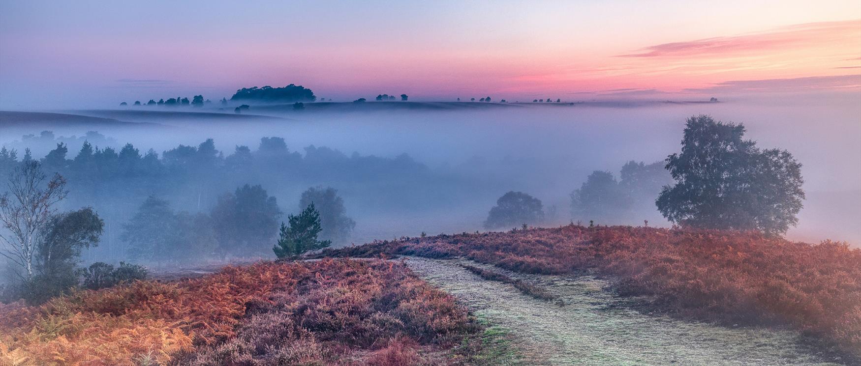 Autumn Adventures in Hampshire