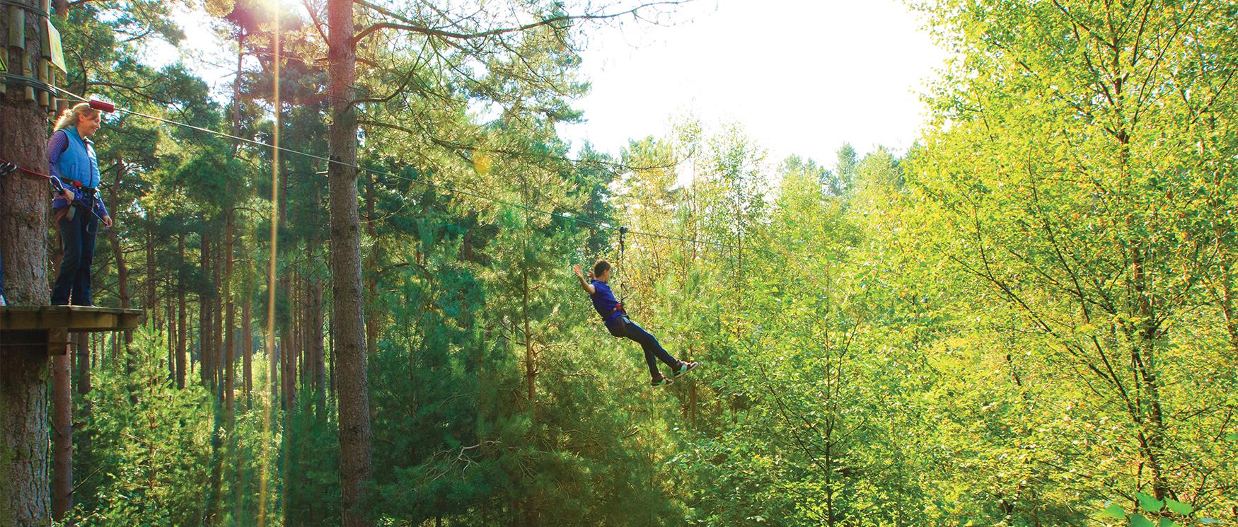 Go Ape Tree Top Adventure