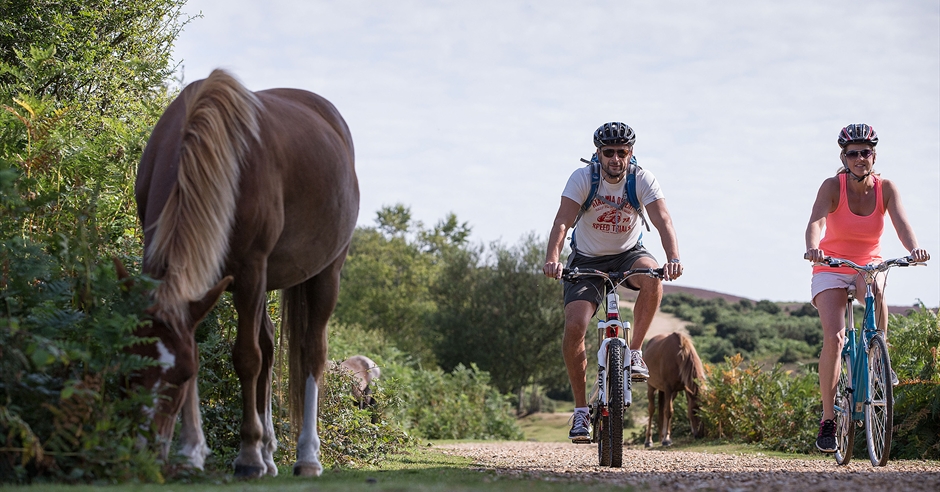 new forest cycle race