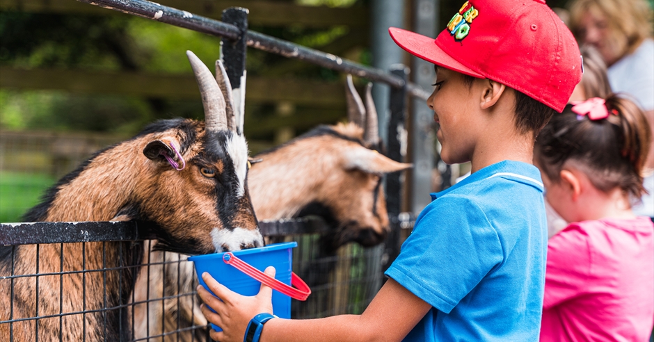 Staunton Farm - Visit Hampshire