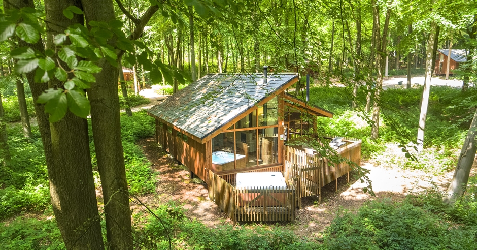Forest Holidays Blackwood Winchester Visit Hampshire