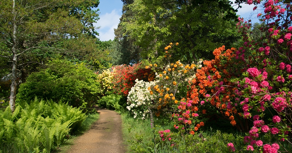 Sir Harold Hillier Gardens - Visit Hampshire