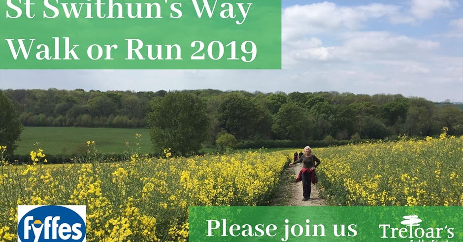 St Swithun's Way Walk or Run - Visit Hampshire