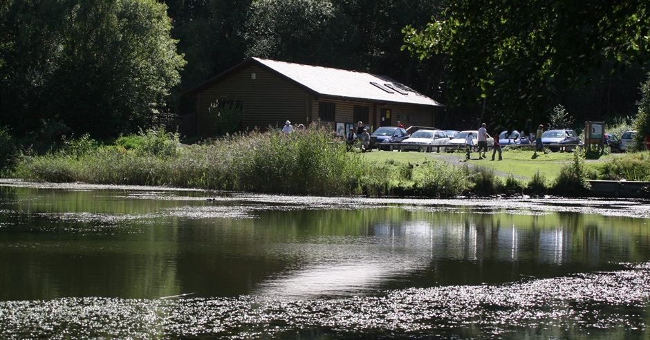 Swanwick Lakes Nature Reserve - Visit Hampshire